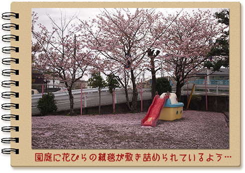 園庭の桜の樹